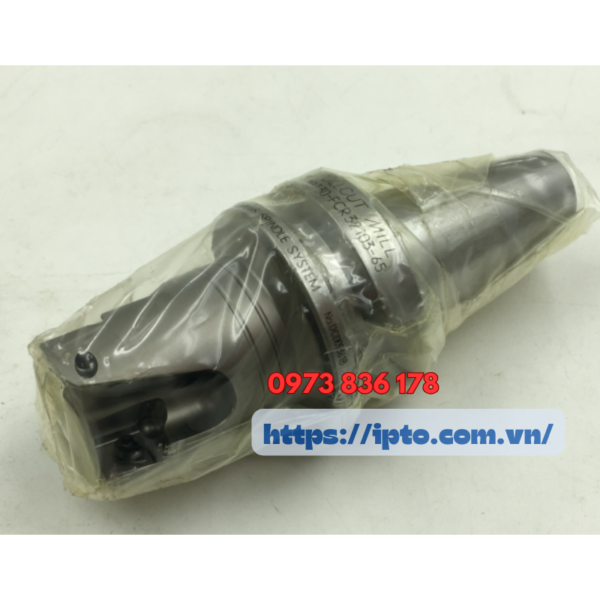 Dau phay gan manh Big Daishowa BBT30 FCR32103 65 1