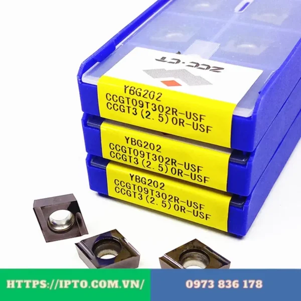 CCGT09T302R USF YBG202
